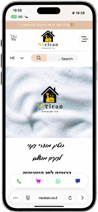 NS Clean website